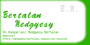 bertalan medgyesy business card